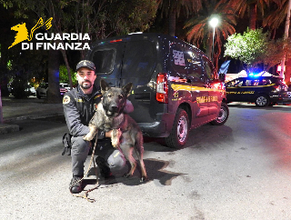Ascoli Piceno - Guardia di Finanza, arrivano i nuovi cani anti-droga Nasly e Nereo
